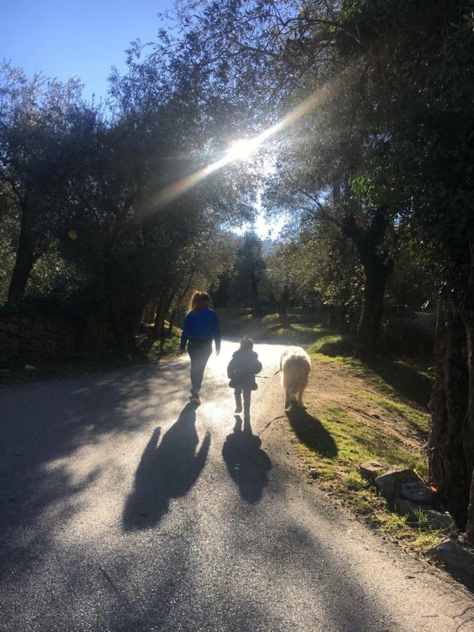 Le Falesie Arco Bagian luar foto